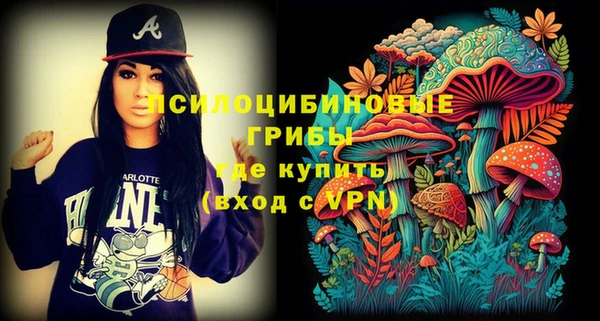 прущая мука Осташков