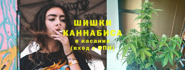 стафф Богородск
