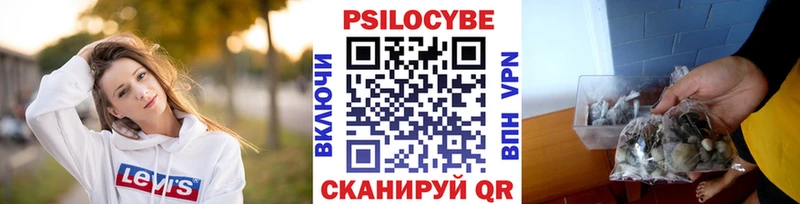 Галлюциногенные грибы MAGIC MUSHROOMS Ветлуга