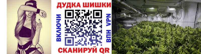 Бошки марихуана тримм  OMG рабочий сайт  даркнет официальный сайт  Ветлуга 